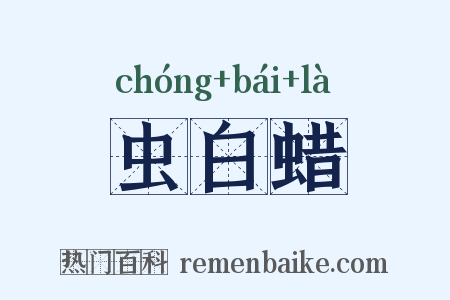 虫白蜡是什么意思的图片